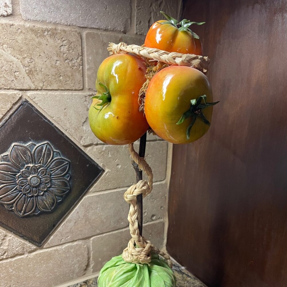 Hanging Tomatoes with Cabbage base